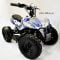 Электроквадроцикл El-Sport Kid ATV 800W 36V/12Ah