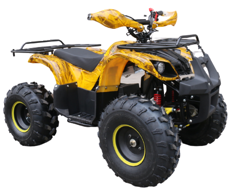 Электроквадроцикл Mytoy T-200 800W Электроквадроцикл Mytoy T-200 800W