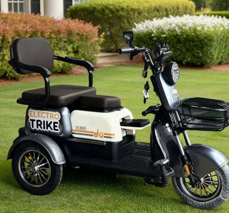 Электротрицикл ElectroTrike Бумеранг Pro Серый